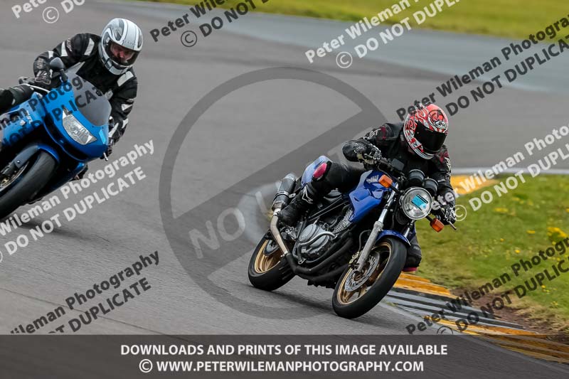 PJ Motorsport 2019;anglesey no limits trackday;anglesey photographs;anglesey trackday photographs;enduro digital images;event digital images;eventdigitalimages;no limits trackdays;peter wileman photography;racing digital images;trac mon;trackday digital images;trackday photos;ty croes